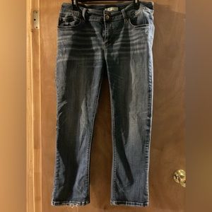 Daytrip ankle jeans